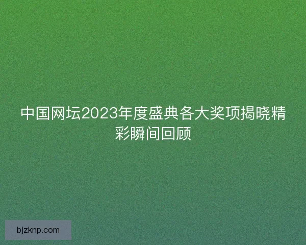 中国网坛2023年度盛典各大奖项揭晓精彩瞬间回顾