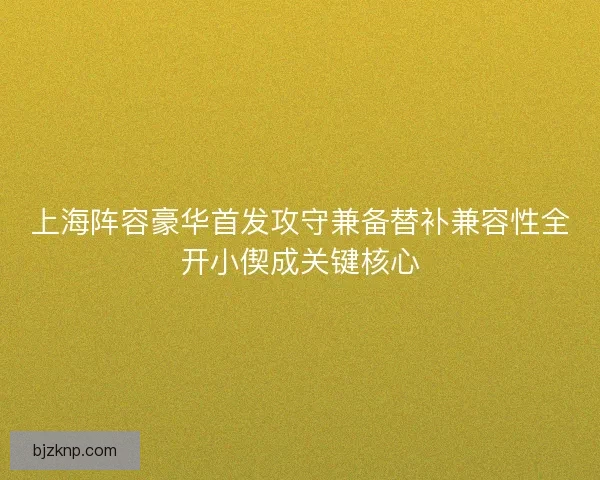 上海阵容豪华首发攻守兼备替补兼容性全开小偰成关键核心